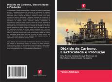 Copertina di Dióxido de Carbono, Electricidade e Produção