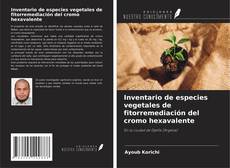 Borítókép a  Inventario de especies vegetales de fitorremediación del cromo hexavalente - hoz