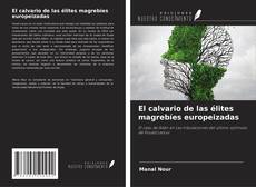 El calvario de las élites magrebíes europeizadas kitap kapağı
