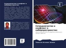Сотрудничество и конфликт в киберпространстве: kitap kapağı