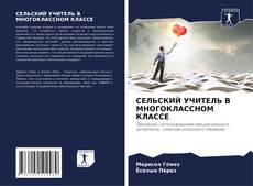 Portada del libro de СЕЛЬСКИЙ УЧИТЕЛЬ В МНОГОКЛАССНОМ КЛАССЕ