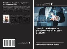 Buchcover von Gestión de riesgos en proyectos de TI: El caso de IRÁN