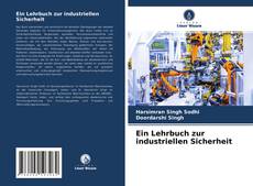 Ein Lehrbuch zur industriellen Sicherheit kitap kapağı