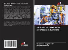 Un libro di testo sulla sicurezza industriale kitap kapağı