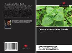 Couverture de Coleus aromaticus Benth