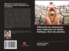 Buchcover von Efficacité du potassium pour atténuer un stress biotique chez les plantes