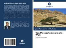 Von Mesopotamien in die Welt的封面