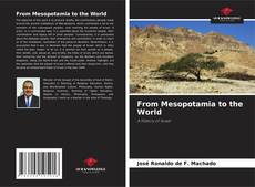 Copertina di From Mesopotamia to the World