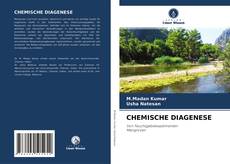 Bookcover of CHEMISCHE DIAGENESE