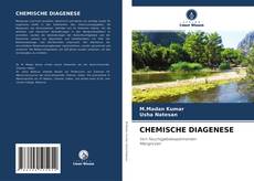 CHEMISCHE DIAGENESE的封面