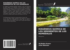 Bookcover of DIAGÉNESIS QUÍMICA DE LOS SEDIMENTOS DE LOS HUMEDALES