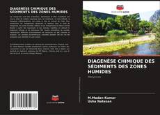 DIAGENÈSE CHIMIQUE DES SÉDIMENTS DES ZONES HUMIDES kitap kapağı