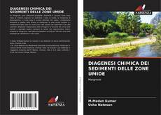 Bookcover of DIAGENESI CHIMICA DEI SEDIMENTI DELLE ZONE UMIDE