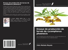 Buchcover von Ensayo de producción de larvas de rycomphorus phoenecis