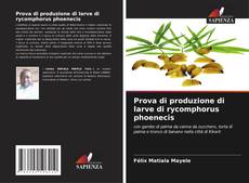 Buchcover von Prova di produzione di larve di rycomphorus phoenecis