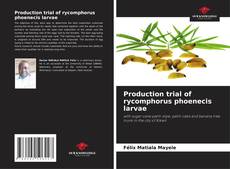 Couverture de Production trial of rycomphorus phoenecis larvae