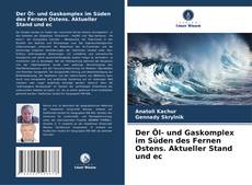 Bookcover of Der Öl- und Gaskomplex im Süden des Fernen Ostens. Aktueller Stand und ec
