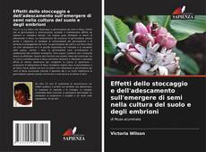 Bookcover of Effetti dello stoccaggio e dell'adescamento sull'emergere di semi nella cultura del suolo e degli embrioni