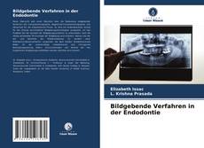 Bildgebende Verfahren in der Endodontie的封面