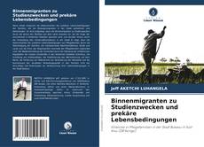 Buchcover von Binnenmigranten zu Studienzwecken und prekäre Lebensbedingungen