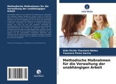 Buchcover von Methodische Maßnahmen für die Verwaltung der unabhängigen Arbeit