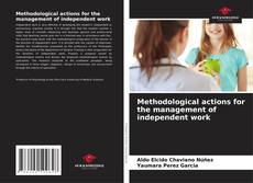 Couverture de Methodological actions for the management of independent work