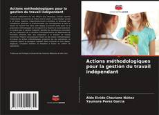 Buchcover von Actions méthodologiques pour la gestion du travail indépendant