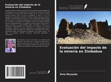 Portada del libro de Evaluación del impacto de la minería en Zimbabue