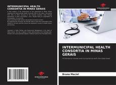 Обложка INTERMUNICIPAL HEALTH CONSORTIA IN MINAS GERAIS