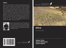 Buchcover von Sílice