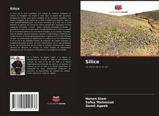 Bookcover of Silice