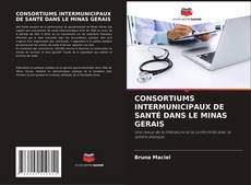 Bookcover of CONSORTIUMS INTERMUNICIPAUX DE SANTÉ DANS LE MINAS GERAIS