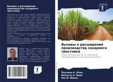 Portada del libro de Вызовы в расширении производства сахарного тростника