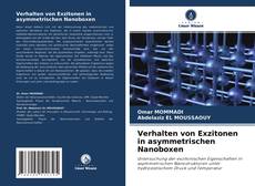 Verhalten von Exzitonen in asymmetrischen Nanoboxen kitap kapağı