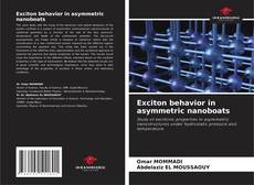 Capa do livro de Exciton behavior in asymmetric nanoboats 