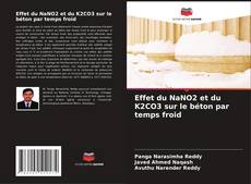Effet du NaNO2 et du K2CO3 sur le béton par temps froid的封面