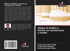 Buchcover von Effetto di NaNO2 e K2CO3 sul calcestruzzo a freddo
