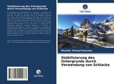 Bookcover of Stabilisierung des Untergrunds durch Verwendung von Schlacke