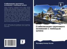 Bookcover of Стабилизация грунтового основания с помощью шлака