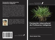 Formación Intercultural de Profesores Indígenas kitap kapağı