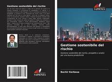 Buchcover von Gestione sostenibile del rischio