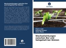 Bookcover of Wechselwirkungen zwischen Bor und Salzgehalt bei Weizen