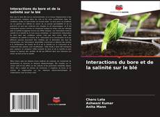 Bookcover of Interactions du bore et de la salinité sur le blé