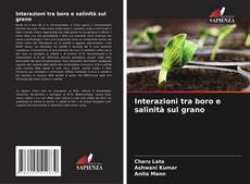Bookcover of Interazioni tra boro e salinità sul grano