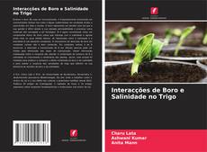 Bookcover of Interacções de Boro e Salinidade no Trigo