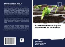 Portada del libro de Взаимодействие бора и засоления на пшенице