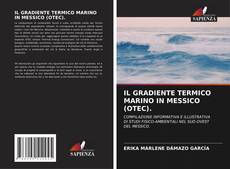 Capa do livro de IL GRADIENTE TERMICO MARINO IN MESSICO (OTEC). 
