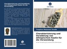 Capa do livro de Charakterisierung und Veredelung von äthiopischem Kaolin für die Verwendung 