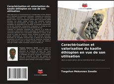 Caractérisation et valorisation du kaolin éthiopien en vue de son utilisation kitap kapağı