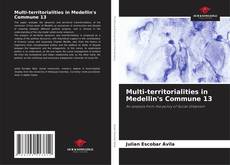 Capa do livro de Multi-territorialities in Medellin's Commune 13 